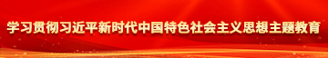 大鸡巴内射骚B学习贯彻习近平新时代中国特色社会主义思想主题教育